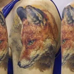 Fox tatuaj - ceea ce înseamnă schițe tatuaj și fotografii