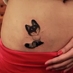 Fox tatuaj - ceea ce înseamnă schițe tatuaj și fotografii