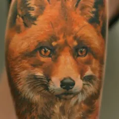 Fox tatuaj - ceea ce înseamnă schițe tatuaj și fotografii