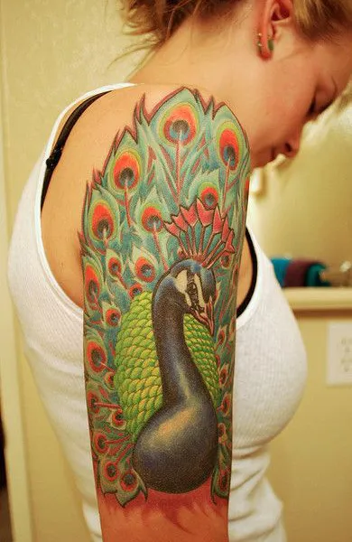 Peacock tetoválás - azaz tetoválás vázlatok és fényképek