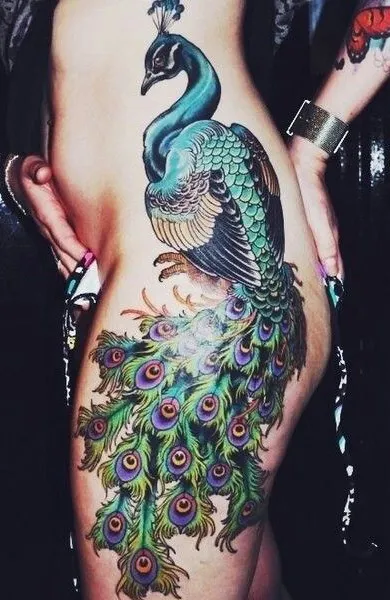 Peacock tetoválás - azaz tetoválás vázlatok és fényképek