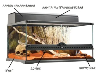 Terrárium - szól teknősök