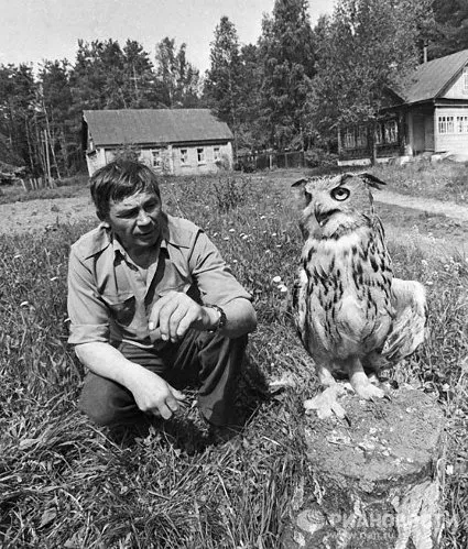 Játék azt mutatják, hogy ahol egyszer 40 év - Portál érdekes cikkek