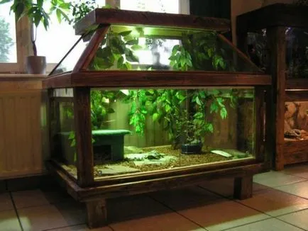 Терариум за костенурки в дома интериор, интериорен дизайн