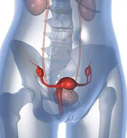 Urogynecology în centrul Israelului, preturi, comentarii