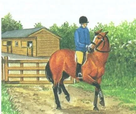 Makacs ló, hogyan kell kijavítani, tippeket - helyszínen a lovak