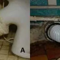 Instalarea și conectarea video mașină de spălat vase