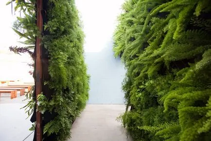 Вертикална градинарство в апартамент с ръцете си, изборът на растения и модули