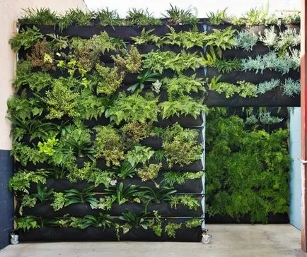 Вертикална градинарство в апартамент с ръцете си, изборът на растения и модули
