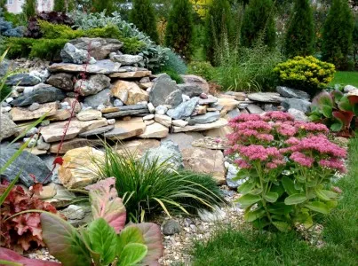 Tipuri de gradini rock, in apropiere de casa