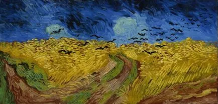 Vincent van Gogh pe experiența experienței de tulburări mintale - știri în imagini