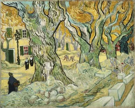 Vincent van Gogh pe experiența experienței de tulburări mintale - știri în imagini