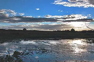 Вода кодекс, вода и земя от закона, разрешение за строеж в заливните равнини