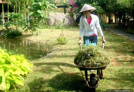 Minden van a zsákban (Vietnam)