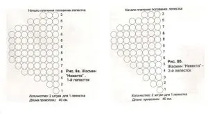 Жасмин топчета тъкане нежни клончета (диаграми и видео)