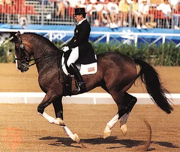 10 tabu de bază atunci când se deplasează într-un galop - Echitatie, conducător