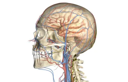 Angiodystonia cerebrovaszkuláris betegség - etiológia, tünetek, terápia