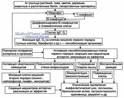 Alergiile la chimioterapia cancerului de droguri - o reacție de hipersensibilitate