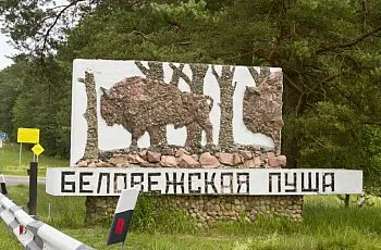 Pădurea Bialowieza, Belarus direcții, adresa și descrierea