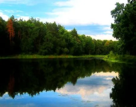 Bialowieza erdő, Fehéroroszország irányban, cím és leírás