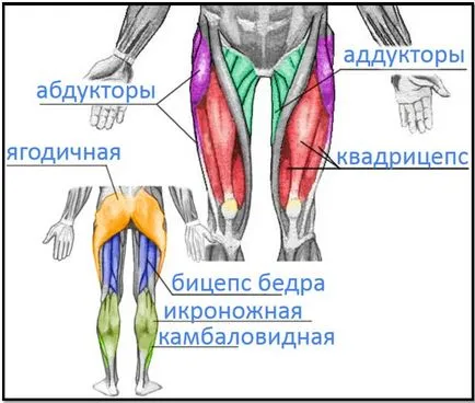 Основни упражнения за набор на тегло