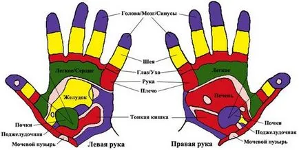 Възпалено пръст на лявата си ръка, за лечение на болка и симптоми на болестта на EUROLAB, на седмото небе