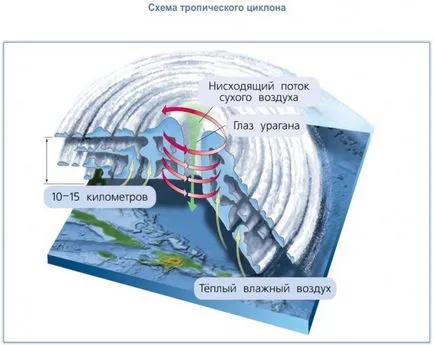 Хората и околната среда