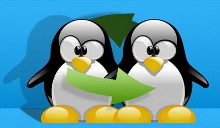 Mi a swap linux, és mire való