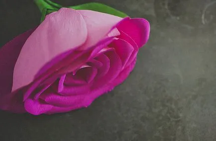 Hogy egy hatalmas rózsa virág rakott papír mesterkurzust