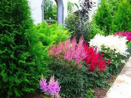 изложба на цветя в Хамптън Корт съвременните тенденции в дизайна градина - Masters панаир - ръчно