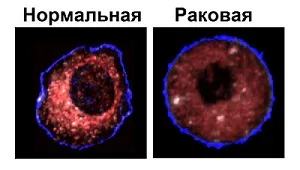 Dermatology Izraelben, a bőr kezelése a modern módszerekkel