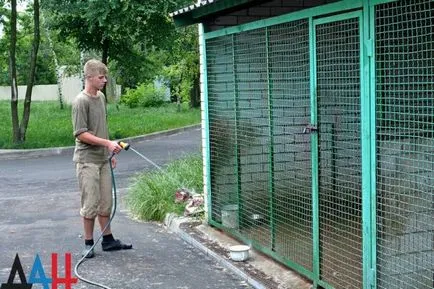 Donetsk adăpost - Bang - în timpul războiului a salvat sute de câini vagabonzi