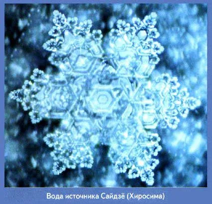 Фантастични свойства на водата, научното и философско дружество, Живата етика, Агни Йога