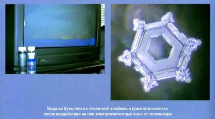 Фантастични свойства на водата, научното и философско дружество, Живата етика, Агни Йога