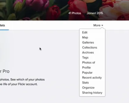 Flickr - nor de stocare, stocare gratuit 1TB fotografie