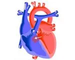 Недохранването сърце - причини, симптоми и лечение