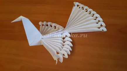 Dove на мира в изкуството на оригами на етапи