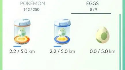 11 Secretele Pokémon du-te, ceea ce nu știi