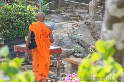 10 tény a buddhista szerzetesek Vietnam