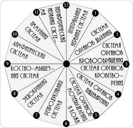 12 системи на организма и техните функции