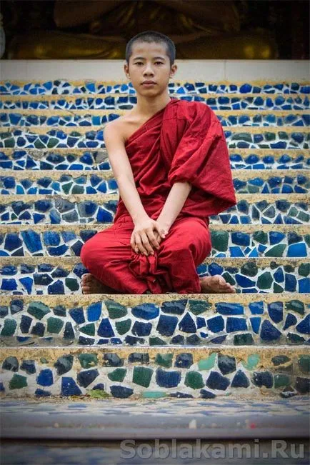10 fapte despre călugării budiști din Vietnam