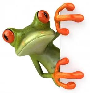Интересни факти за жаби, на мястото на щастливо детство