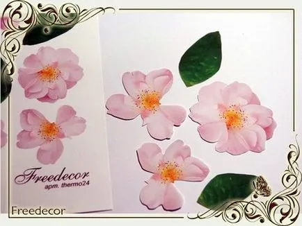 Използването на термопластичен freedecor за моделиране, vnestandarta