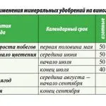 Mi trágya vízzel szobanövények, petúnia virágba így bőven, ibolya, muskátli, palánták,