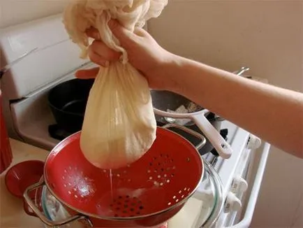 Cum să se pregătească brânză la domiciliu