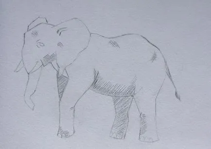 Как да се направи етапи слон молив