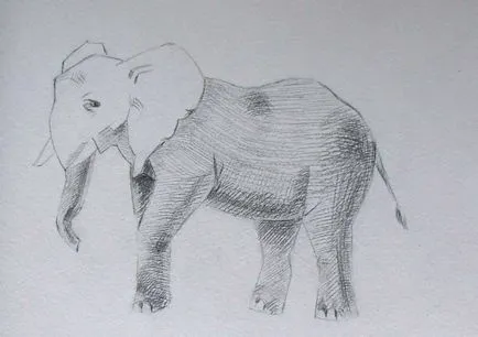 Как да се направи етапи слон молив