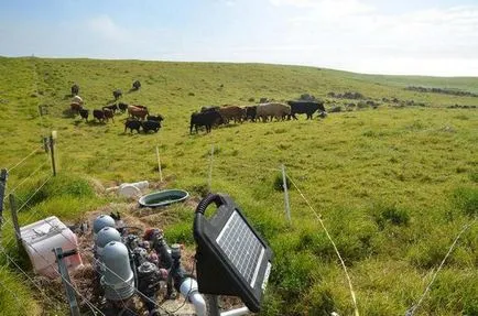 Hogyan készítsünk saját kezét electroshepherd