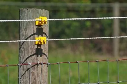 Hogyan készítsünk saját kezét electroshepherd