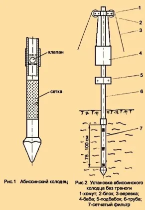 Абисинска добре със собствените си ръце - Technology